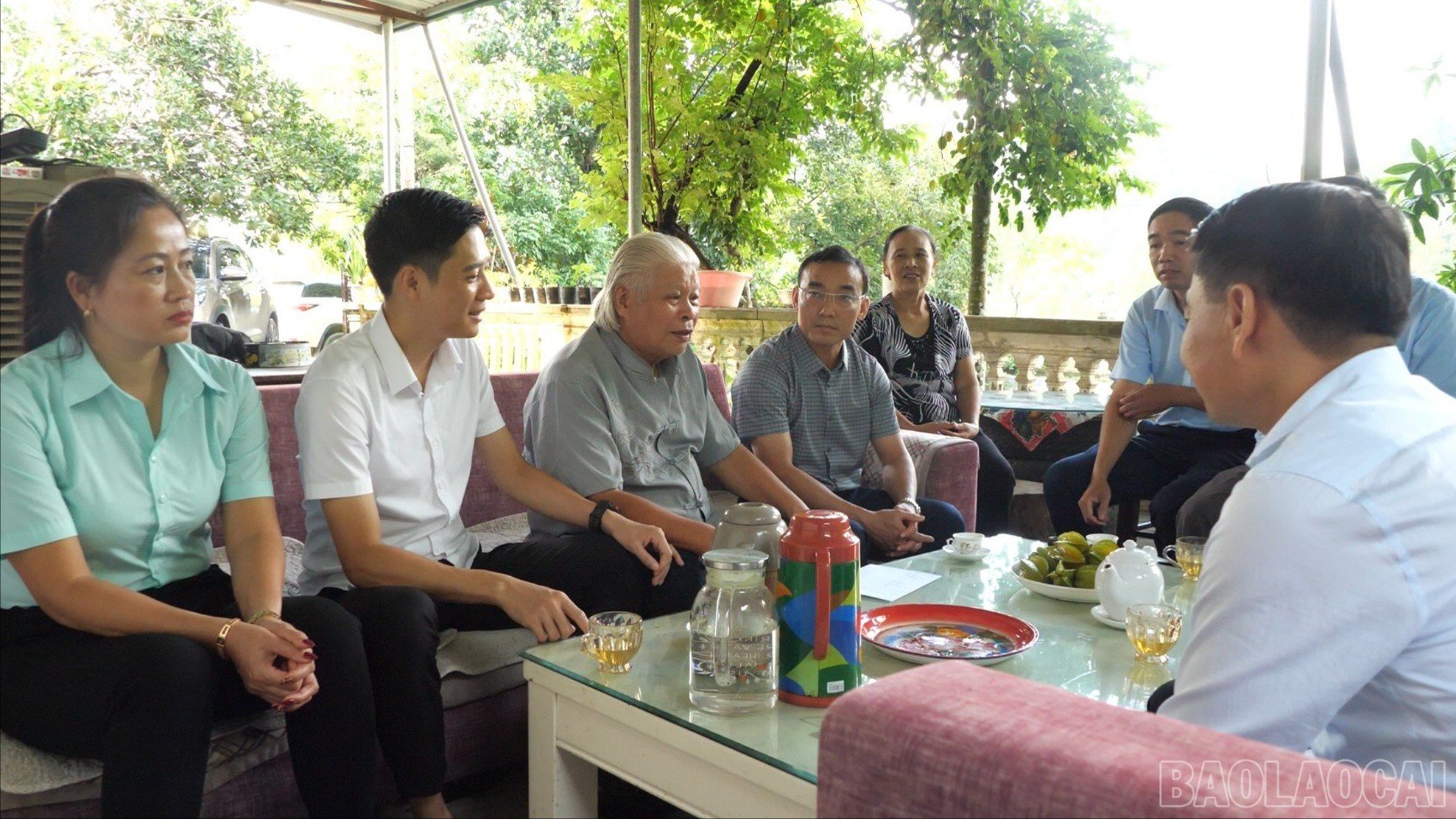 baolaocai-tl-vanh-pstl-chua-benh00-11-37-13still001.jpg