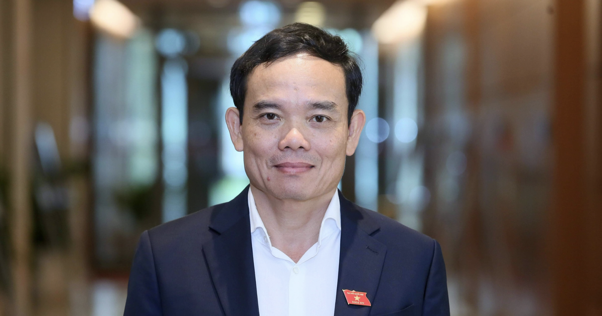 Mr. Tran Luu Quang is Secretary of the Ho Chi Minh City Party Committee.