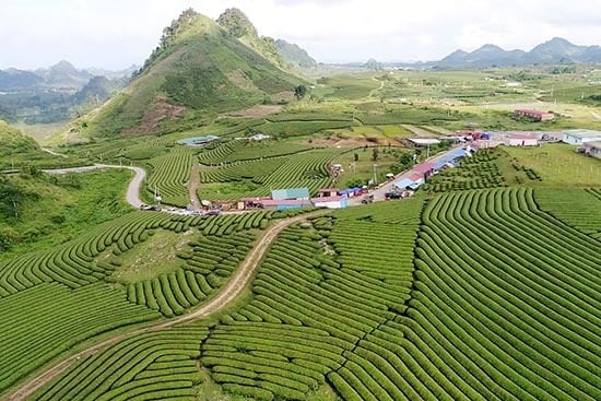 Sơn La đặt mục tiêu trở thành vùng nông nghiệp ứng dụng công nghệ cao ở vùng Tây Bắc- Ảnh 4.