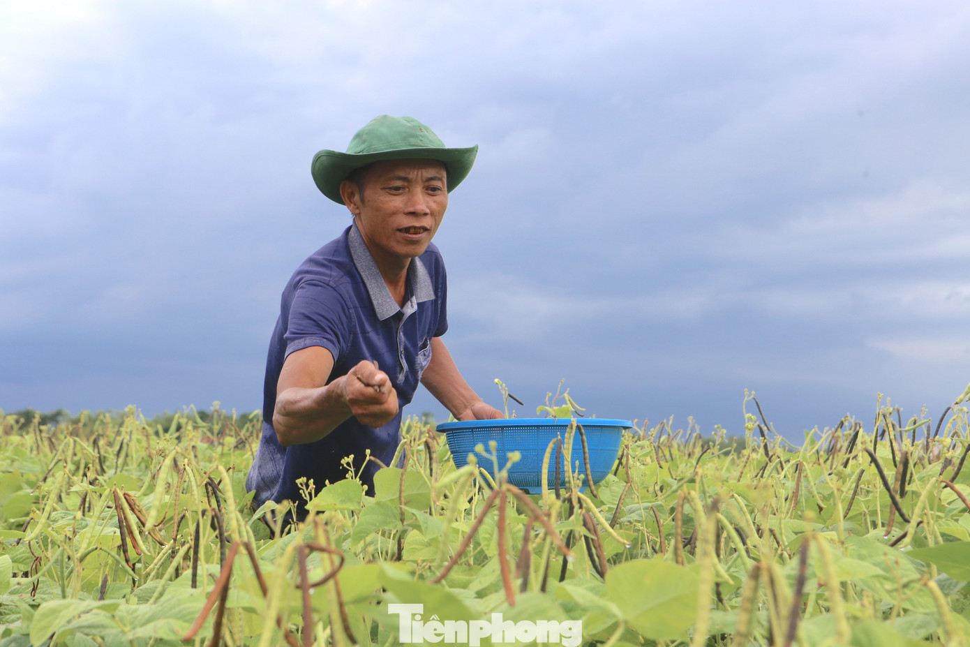 tp-kajd.jpg