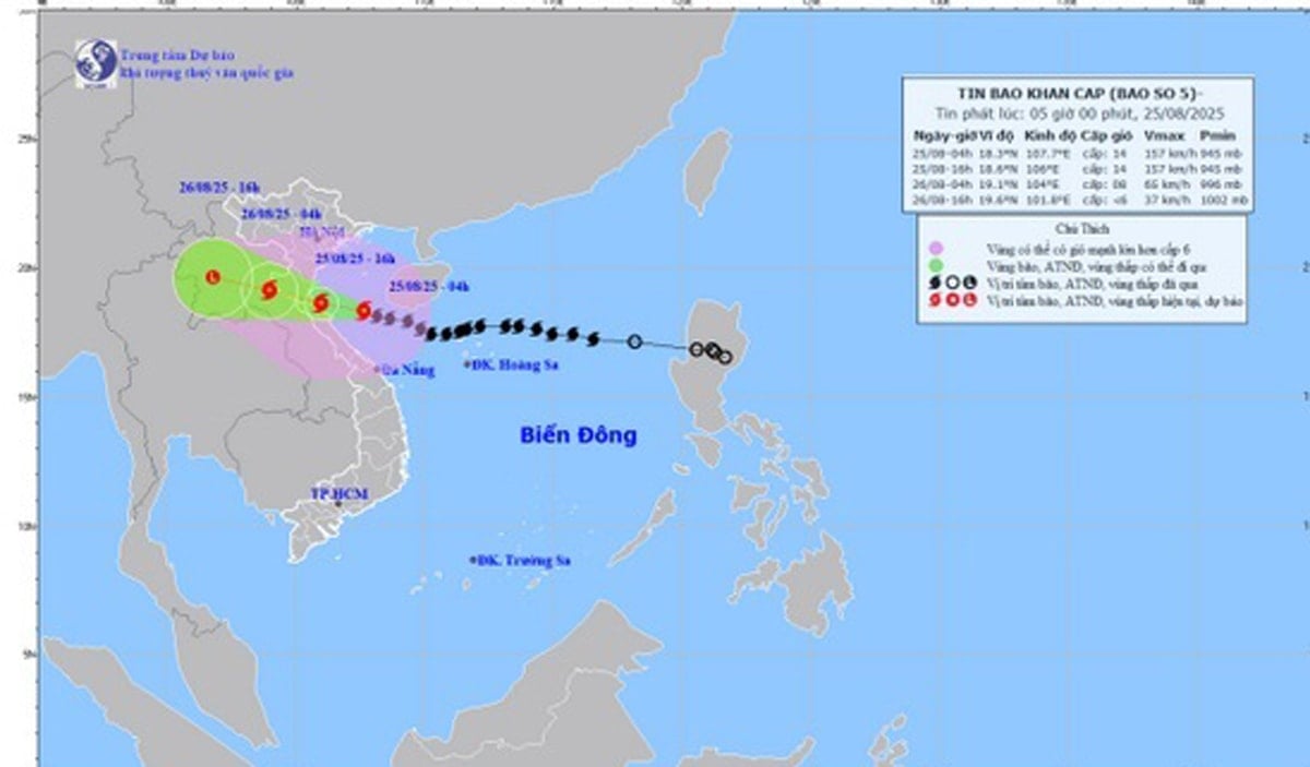 Tempête n° 5 avec des rafales de niveau 17, pluies fortes à très fortes à Hai Phong