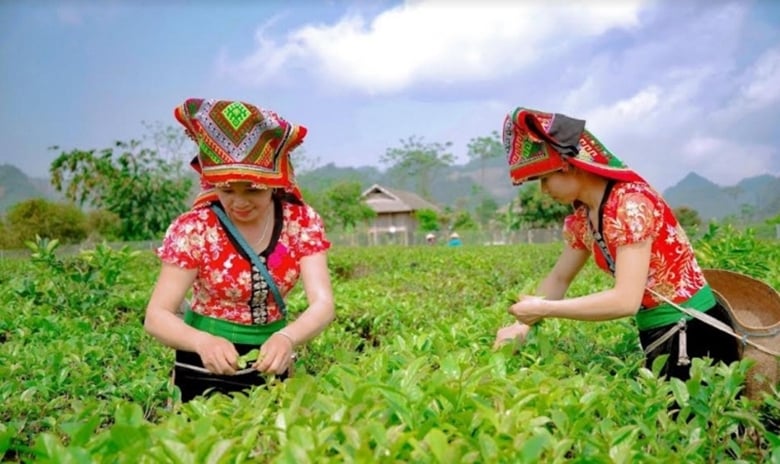 Sơn La đặt mục tiêu trở thành vùng nông nghiệp ứng dụng công nghệ cao ở vùng Tây Bắc- Ảnh 5.