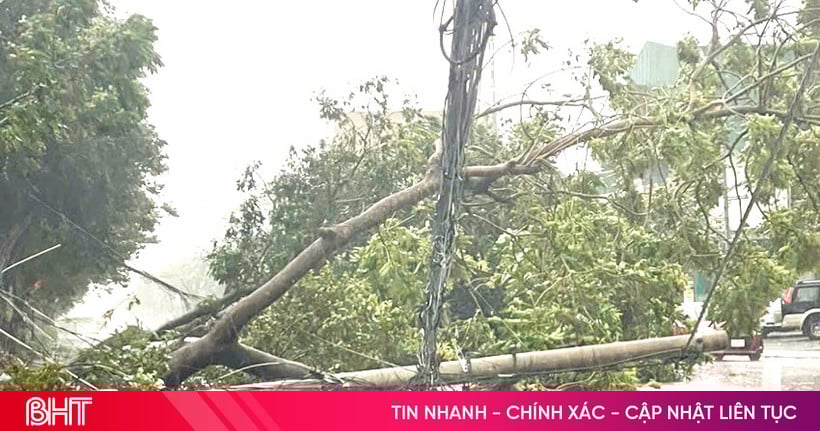 La tormenta número 5 deja sin electricidad a casi 400.000 hogares en Ha Tinh