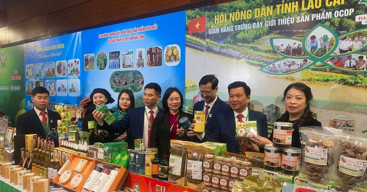 Lao Cai strengthens protection of intellectual property rights