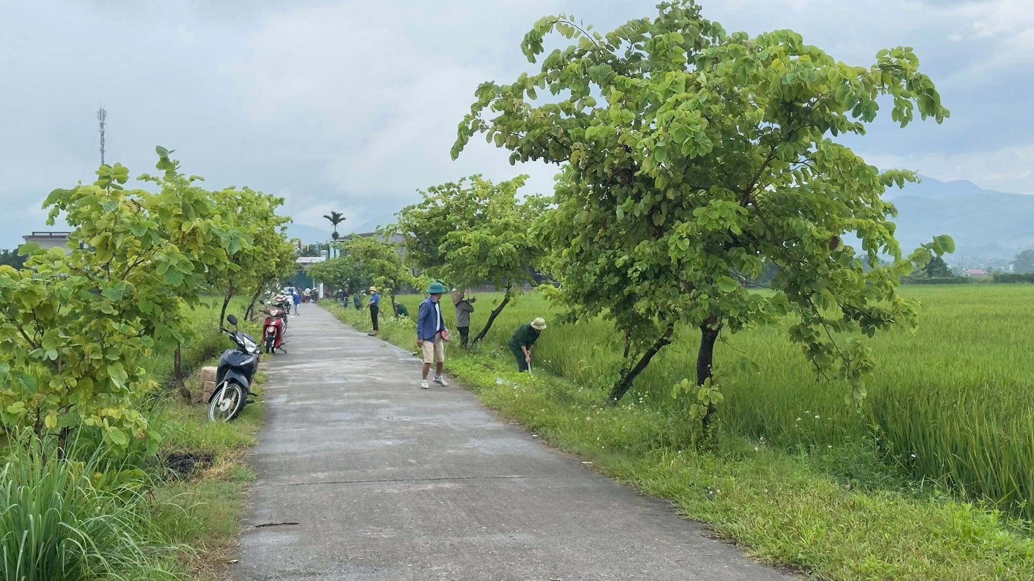 Cán bộ MTTQ phường cùng người dân chỉnh trang tuyến đường và vá đường bê tông.