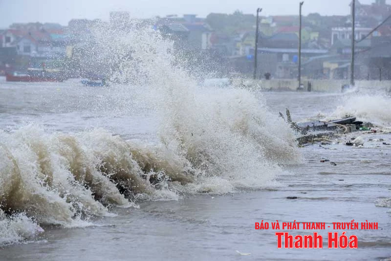 រលក​ខ្ពស់ ដើមឈើ​រលំ​ដោយសារ​ខ្យល់ព្យុះ​លេខ​៥​