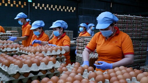 Marché halal : une opportunité pour les entreprises de Tay Ninh