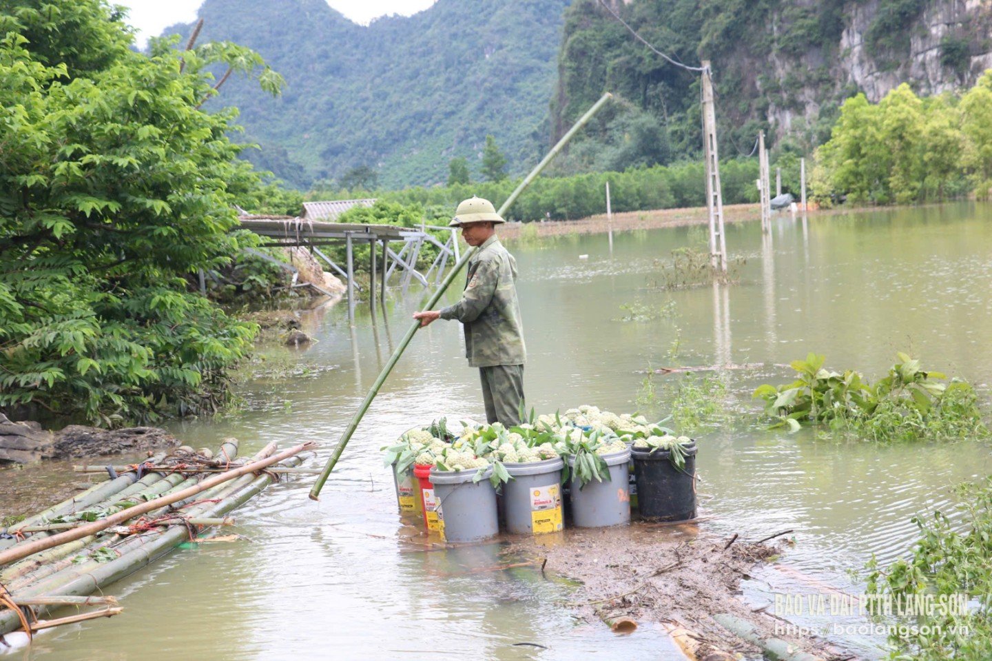 People in Lan Ly, Bai Danh village, Cai Kinh commune transport custard apples by boat.