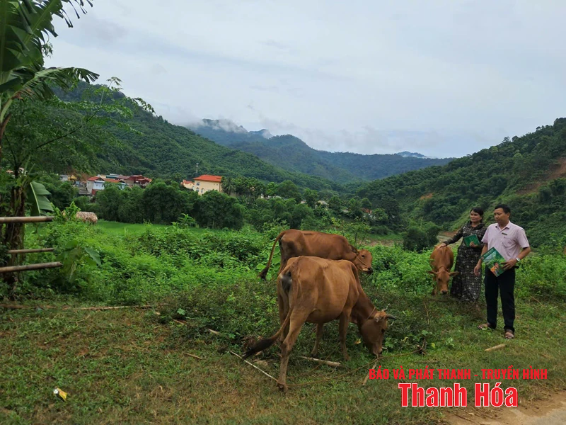 Resources to help poor households in mountainous areas rise up
