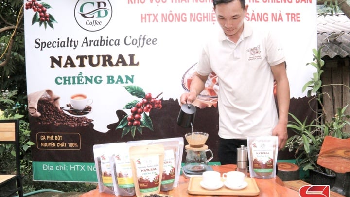 ចាប់ផ្តើមអាជីវកម្មពីដាំដើមកាហ្វេ