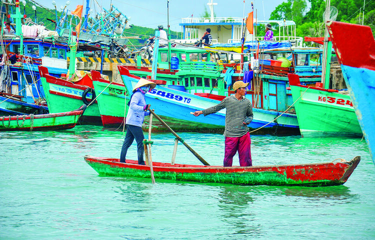 Nhịp sống ở cảng cá An Thới