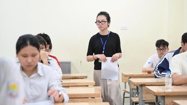 El atractivo del grupo Pedagogía desde el punto de referencia