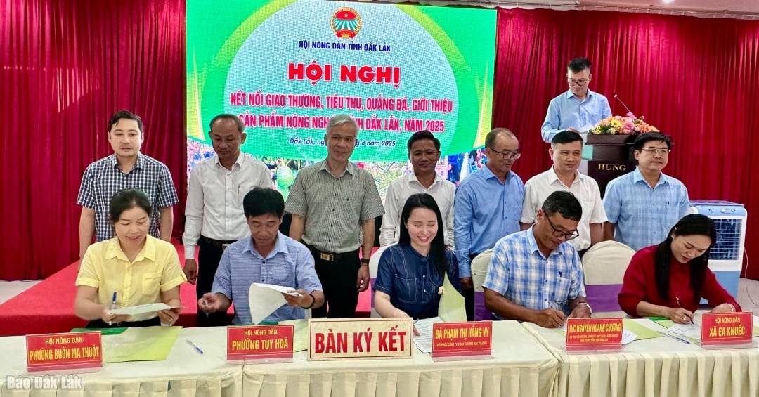 Representatives of units signed a cooperation agreement to connect trade and consume agricultural products with Vi Long Trading Company Limited, period 2025-2030.