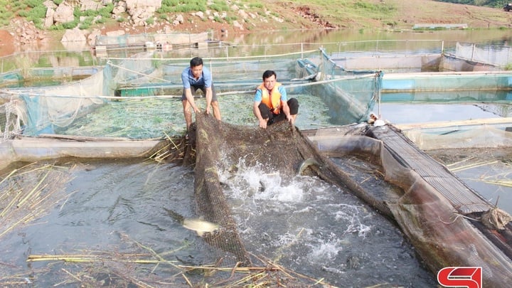 មឿង សាយ បែក​ហើយ​ងើប​ឡើង