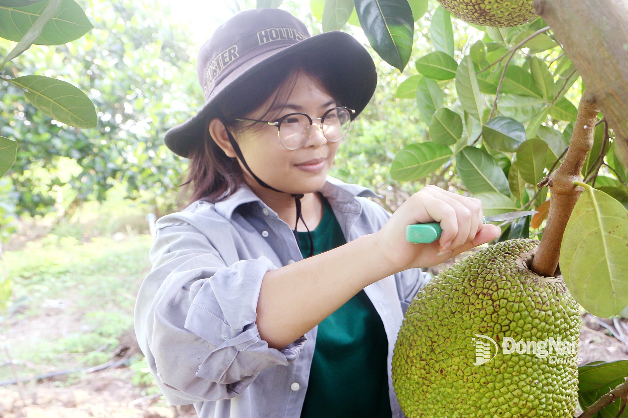 ដើមទុនគោលនយោបាយជួយកុមារជនជាតិភាគតិចទៅសាលារៀន