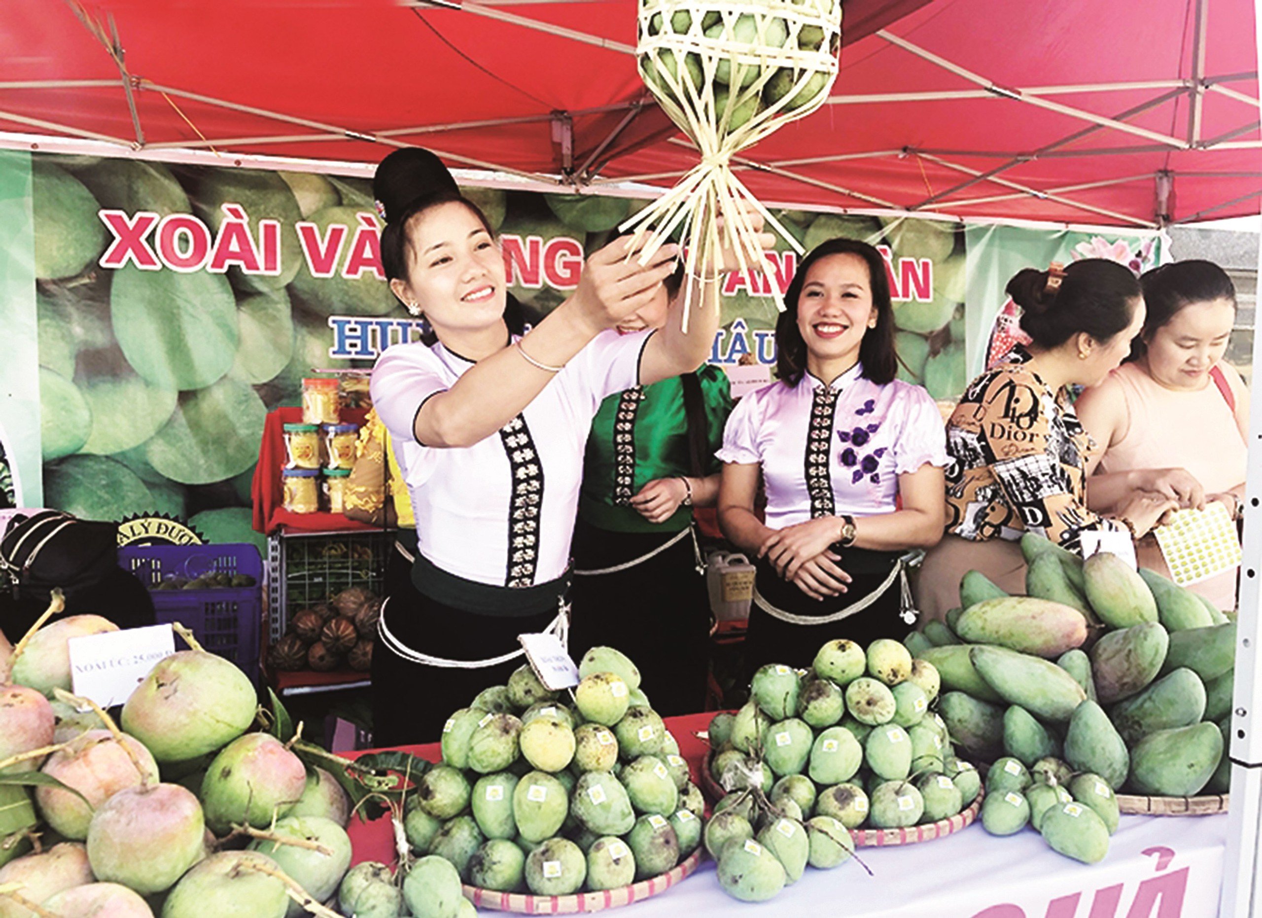 Sơn La đặt mục tiêu trở thành vùng nông nghiệp ứng dụng công nghệ cao ở vùng Tây Bắc- Ảnh 2.