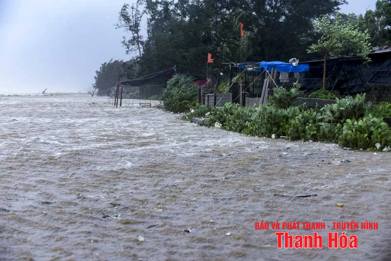 រលក​ខ្ពស់ ដើមឈើ​រលំ​ដោយសារ​ខ្យល់ព្យុះ​លេខ​៥​