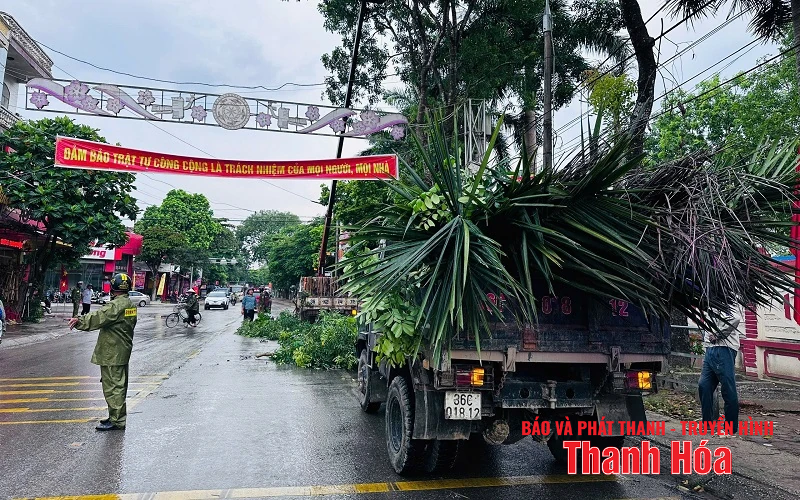Organize tree pruning campaign, clear traffic safety corridor
