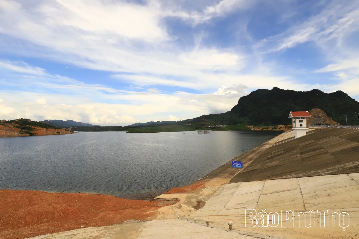 ការ​លែង​កូន​ត្រី​១​តោន​នៅ​បឹង Canh Tang