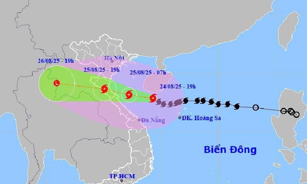 El presidente del Comité Popular Provincial de Bac Ninh ordenó fortalecer la inspección y supervisión del trabajo de respuesta a la tormenta No. 5