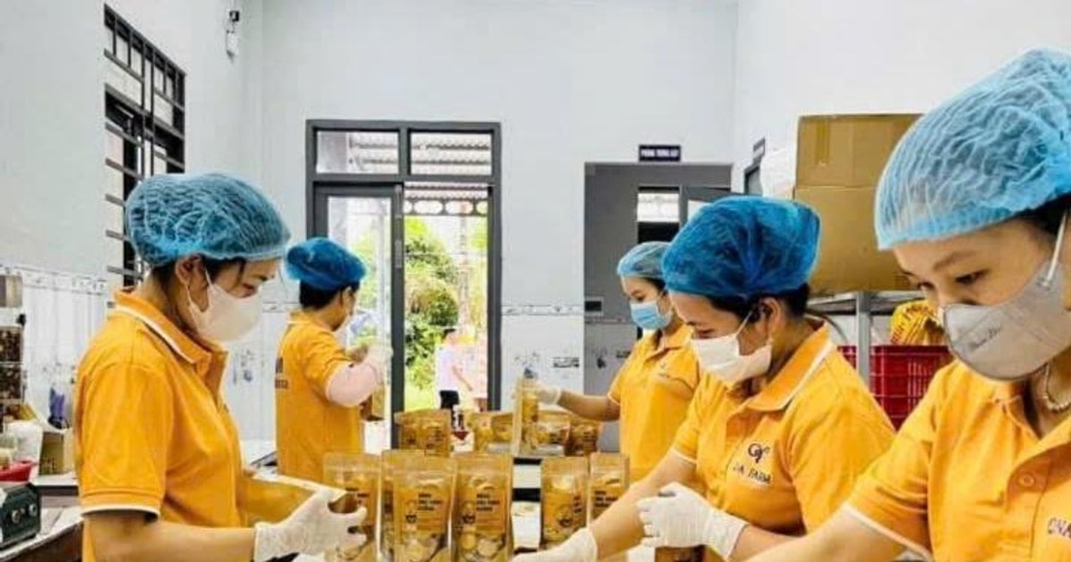 山岳地帯のコミューンにおける一村一品生産品の強化