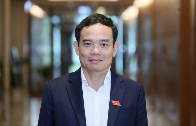 Ông Trần Lưu Quang được phân công giữ chức Bí thư Thành ủy TP.HCM