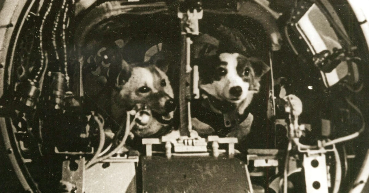 The historic flight of Sputnik 5 and two heroic dogs
