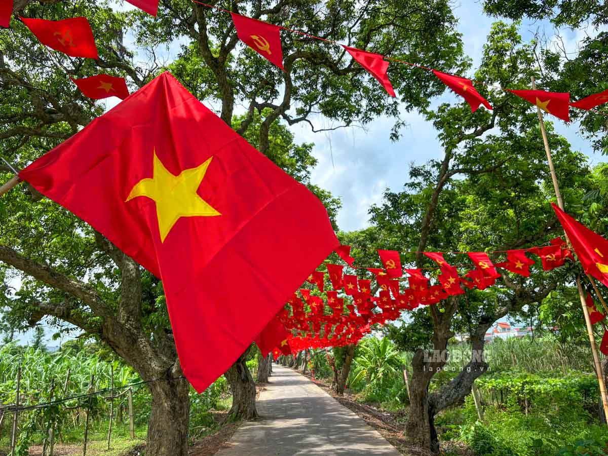 Les anciens longanes de Hung Yen sont couverts de drapeaux rouges à l'occasion de la fête nationale, le 2 septembre.