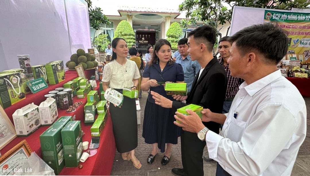 Promote and consume OCOP products