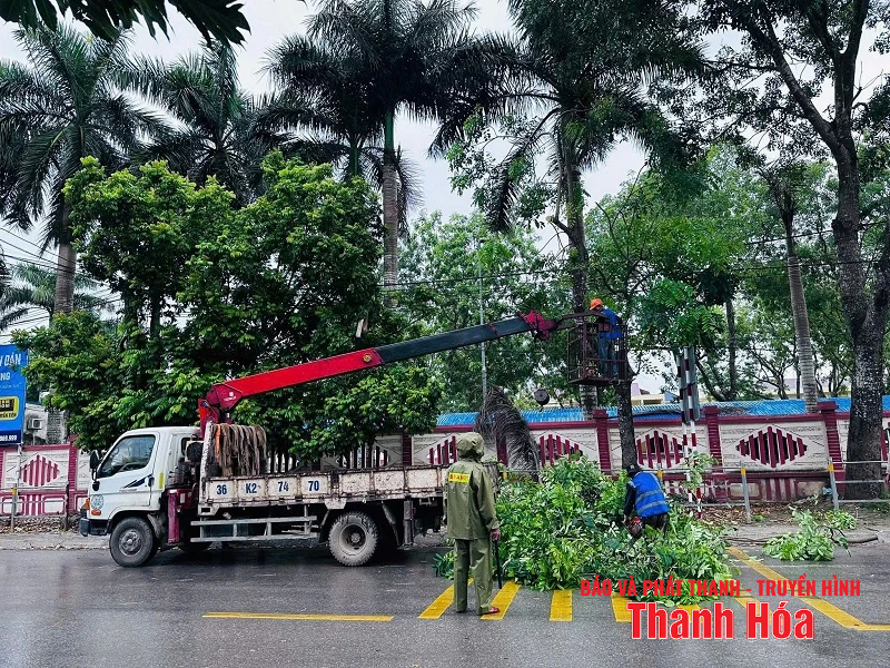 Organize tree pruning campaign, clear traffic safety corridor
