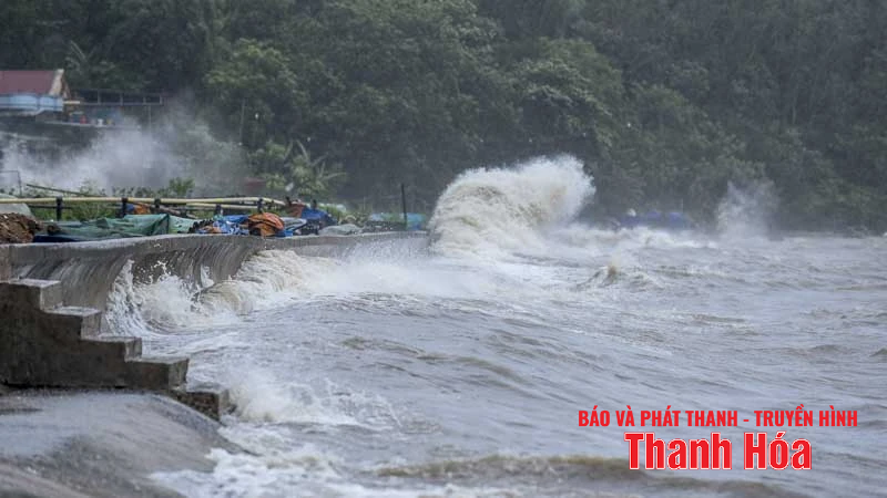 រលក​ខ្ពស់ ដើមឈើ​រលំ​ដោយសារ​ខ្យល់ព្យុះ​លេខ​៥​