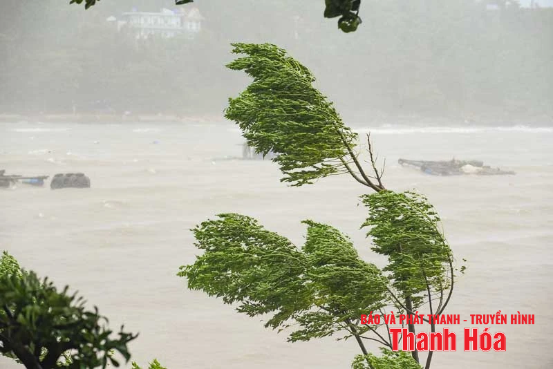តំបន់សមុទ្រ Thanh Hoa ចាប់ផ្តើមមានភ្លៀងធ្លាក់ខ្លាំង និងខ្យល់បក់ខ្លាំង មុនពេលព្យុះទី 5 បោកបក់មកលើដី