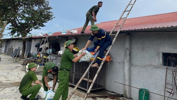 Nghệ An: Di dời 10.242 hộ với 39.476 người dân ven biển