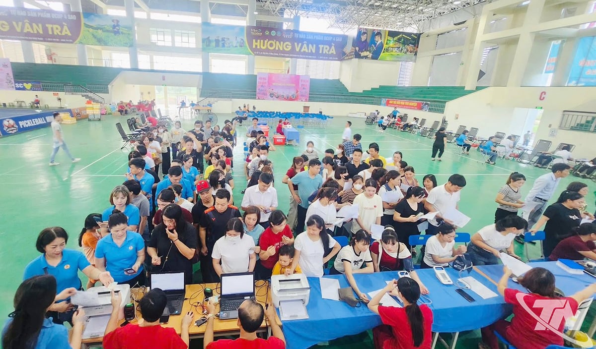 Union members and employees of Mani Hanoi Company Limited participate in voluntary blood donation.