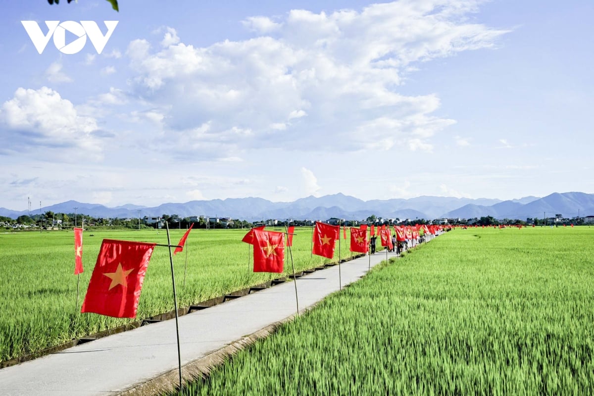 Điện Biên: Rực rỡ “con đường cờ Tổ quốc” giữa cánh đồng Mường Thanh chào mừng Quốc khánh 2/9 - Ảnh 3.