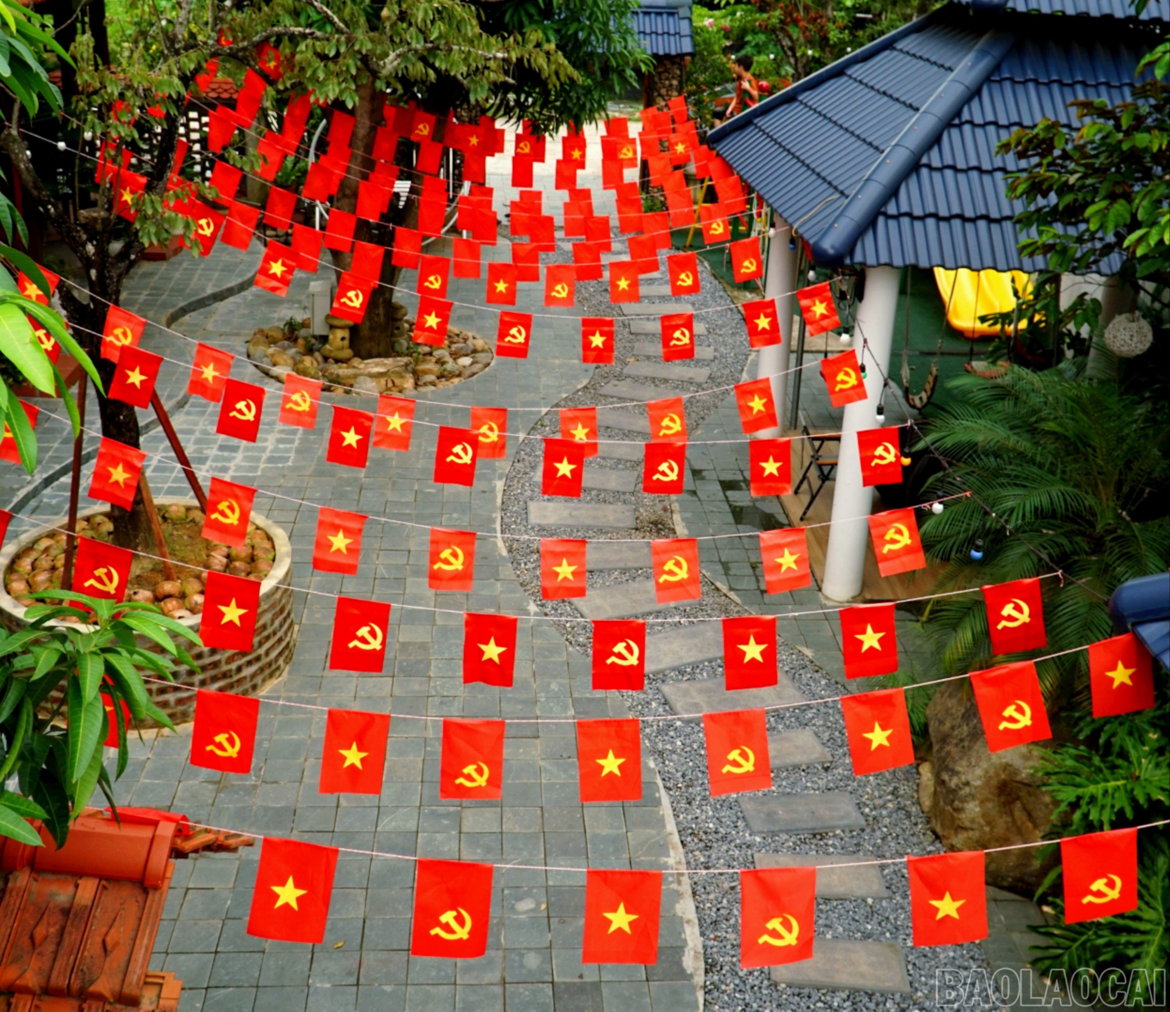 baolaocai-br_br-img-20250825-203740.jpg