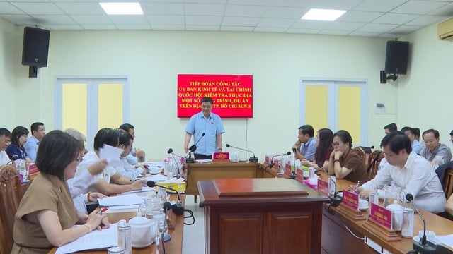 TP.HCM: Tập trung đẩy mạnh triển khai thực hiện các dự án trọng điểm - Ảnh 1.