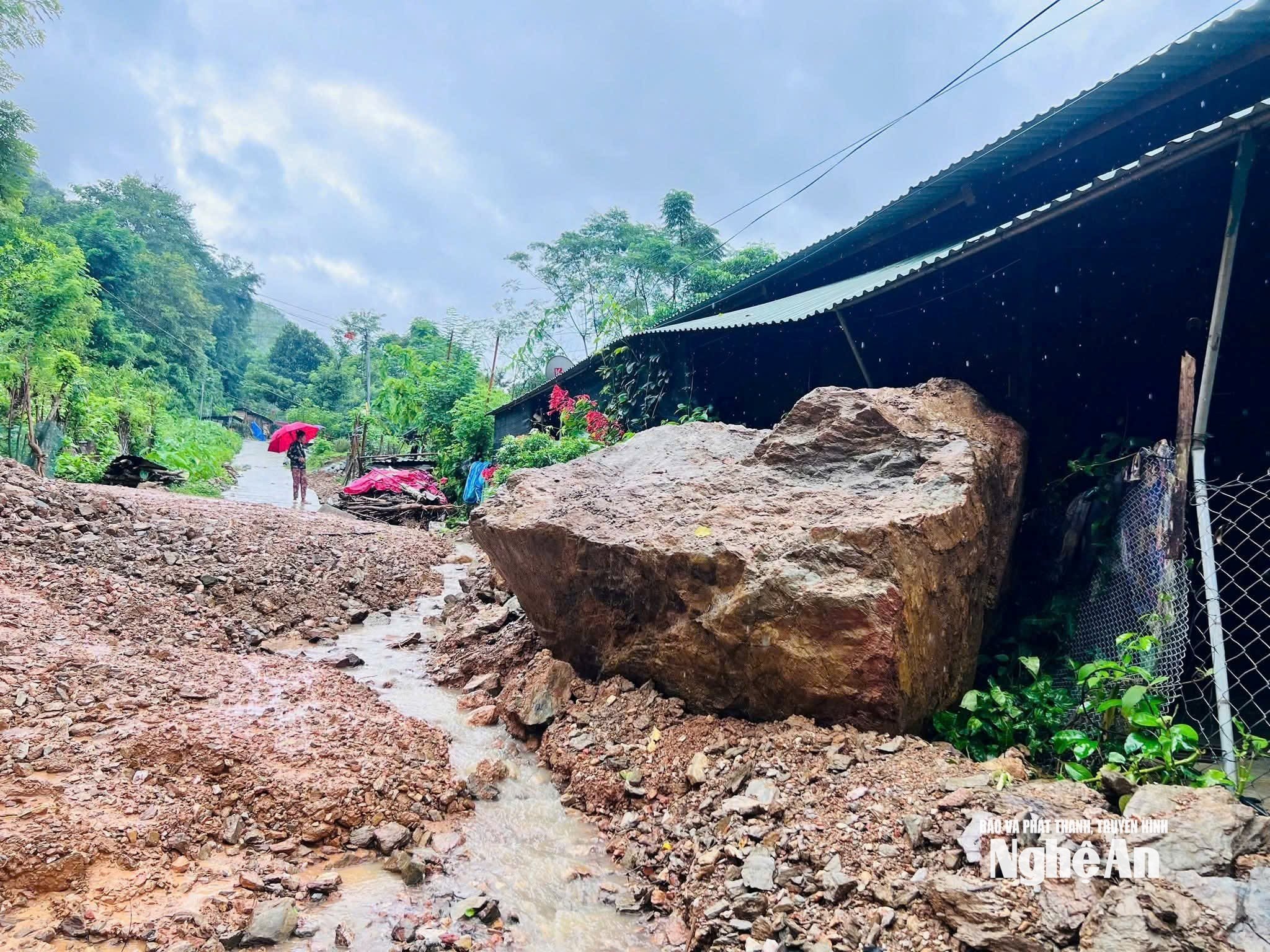 ឆ្លាតវៃ