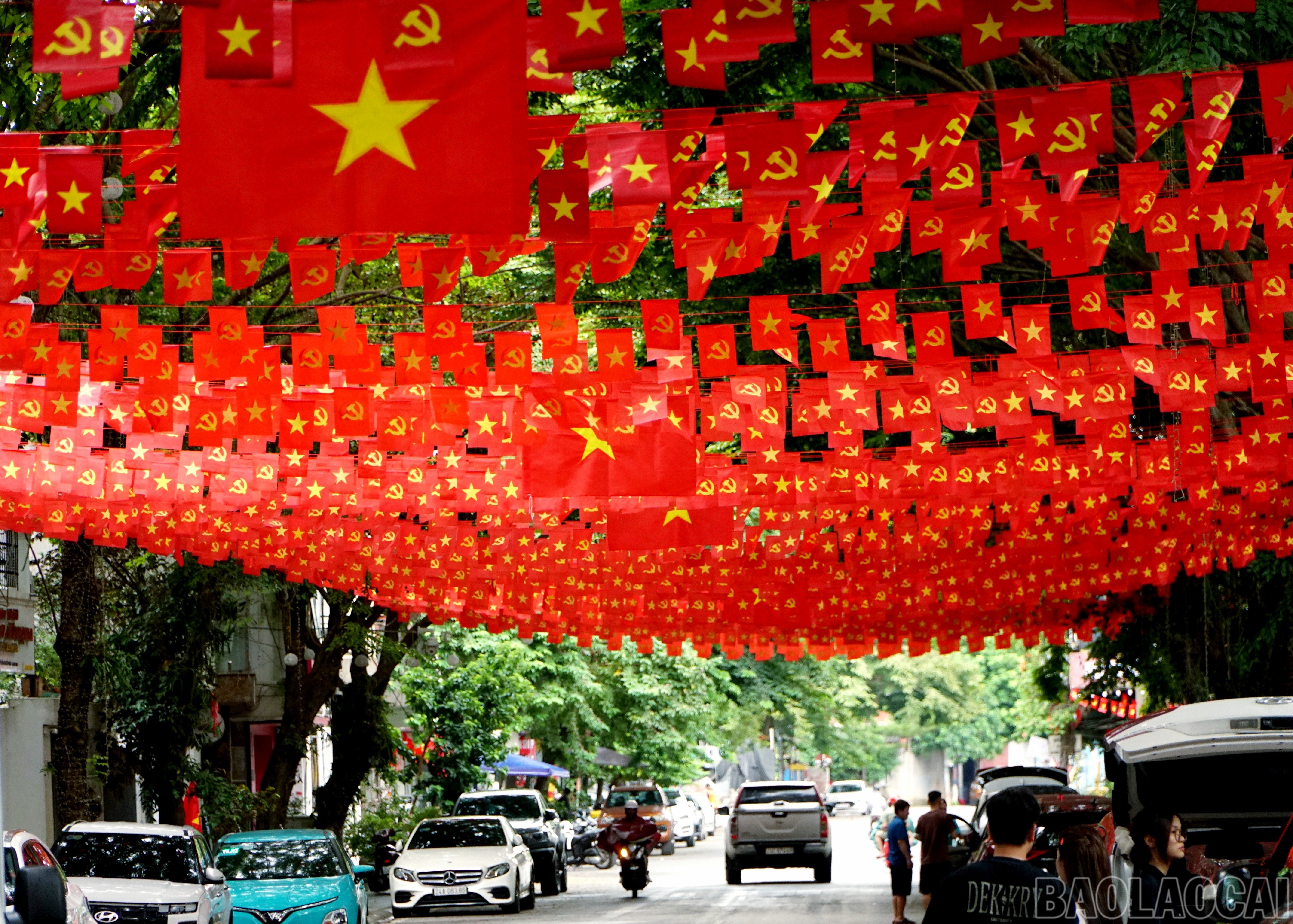 baolaocai-br_img-20250825-202856.jpg