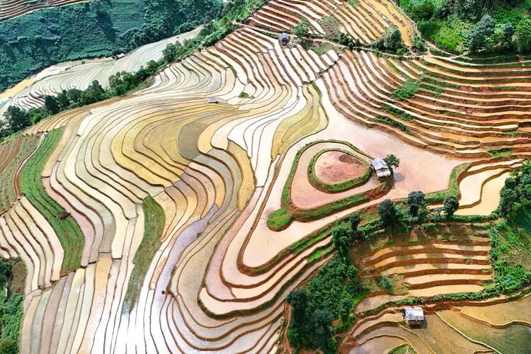 „Zwei-Herzen“-Reisfelder in Mu Cang Chai