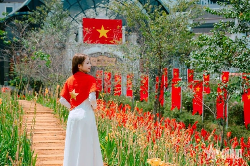 Mùa lúa vàng và màu cờ đỏ hòa với màu xanh của núi rừng Sa Pa. Ảnh: HOÀNG HÀ