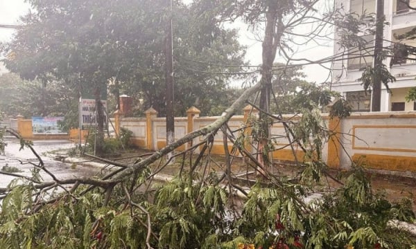 El Primer Ministro ordenó superar urgentemente las consecuencias de la tormenta nº 5 y responder a las inundaciones después del temporal.