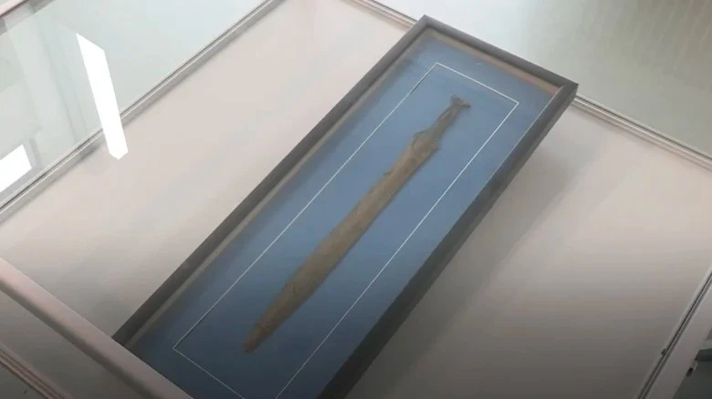 ゴミと間違えられた貴重な千年紀の宝物に驚愕
