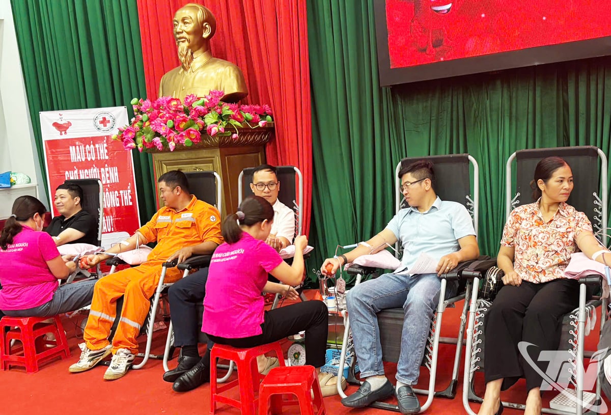Many union members, young people and workers have proactively donated blood.