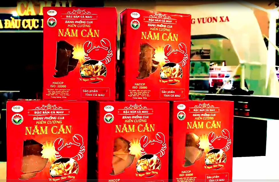 Ca Mau ត្រៀម​ខ្លួន​ជា​ស្រេច​ក្នុង​ពិធី​បុណ្យ​ជាតិ​ដ៏​អស្ចារ្យ - រូបថត ២