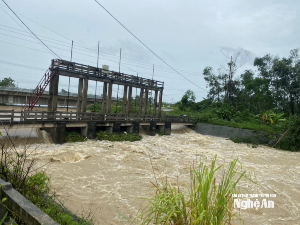 វ៉ាន់ ទ្រុង m567