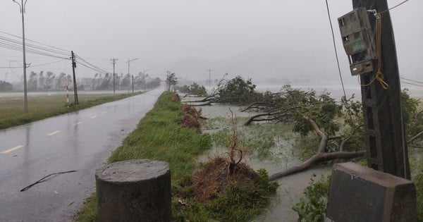 Storm No. 5 makes landfall causing strong winds and heavy rain, Prime Minister directs to focus on response, ensuring people's safety