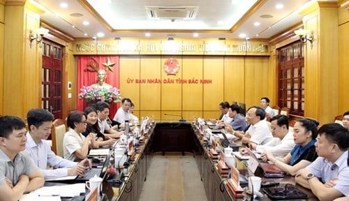 Bac Ninh ជំរុញការនាំចេញ lychee ទៅកាន់ទីផ្សារអាមេរិកខាងជើង