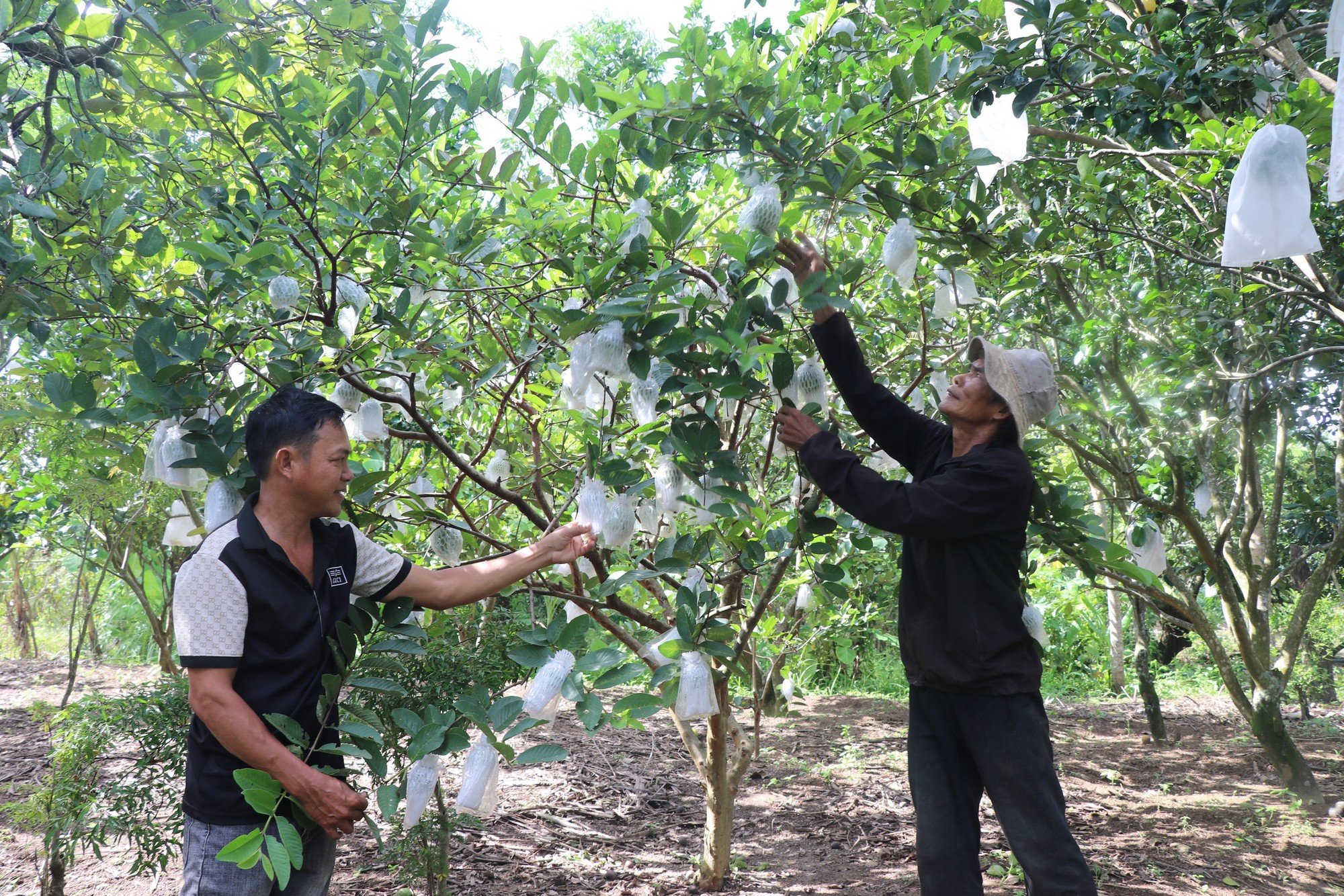 Kết nối du lịch biển đảo với văn hóa đại ngàn Tây Nguyên - Ảnh 3.