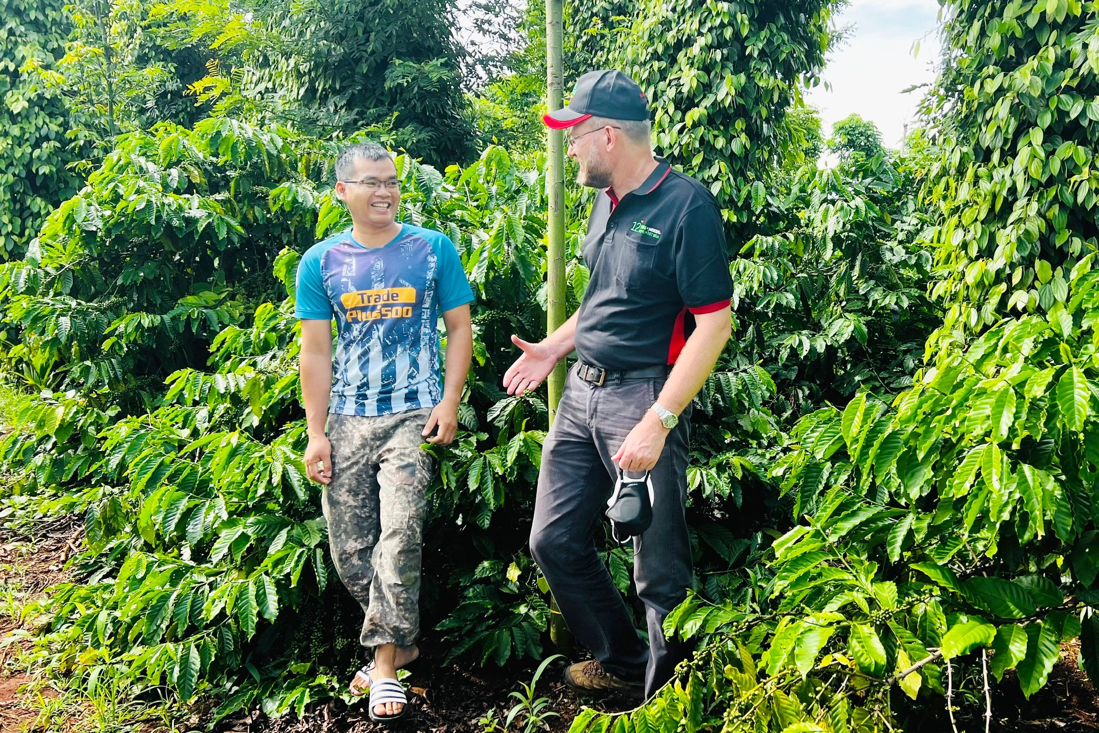 Chương trình Agripreneurship-Nescafé Plan giúp cải thiện sinh kế, trang bị những kiến thức khoa học về canh tác cà phê bền vững cho nông dân. Ảnh CTV